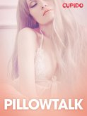 Pillowtalk - erotiske noveller (eBook, ePUB)