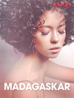 Cover Madagaskar - erotiske noveller (NO) (eBook, ePUB)