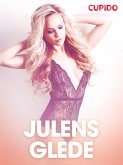 Julens glede – erotiske noveller (eBook, ePUB)