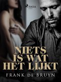 Niets is wat het lijkt (eBook, ePUB)