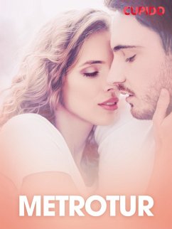 Cover Metrotur - erotiske noveller (eBook, ePUB)