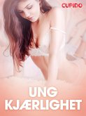 Ung kjærlighet - erotiske noveller (eBook, ePUB)