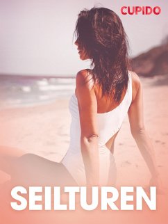 Cover Seilturen - erotiske noveller (eBook, ePUB)