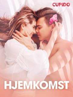 Cover Hjemkomst - erotiske noveller (eBook, ePUB)