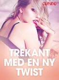 Trekant med en ny twist - erotiske noveller (eBook, ePUB)