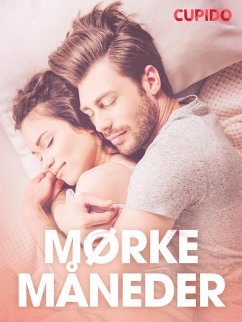 Cover Mørke måneder - erotiske noveller (eBook, ePUB)