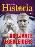 Briljante legerleiders (eBook, ePUB)