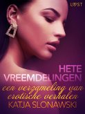 Hete vreemdelingen: een verzameling van erotische verhalen (eBook, ePUB)