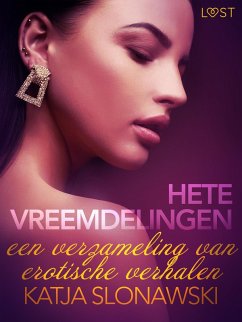 Cover Hete vreemdelingen: een verzameling van erotische verhalen (eBook, ePUB)