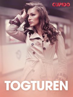 Cover Togturen - erotiske noveller (eBook, ePUB)