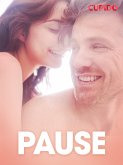 Pause - erotiske noveller (eBook, ePUB)