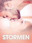 Stormen - erotiske noveller (eBook, ePUB) Stormen - erotiske noveller (eBook, ePUB)