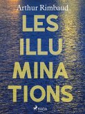 Les Illuminations (eBook, ePUB)