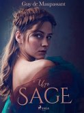 Un Sage (eBook, ePUB)