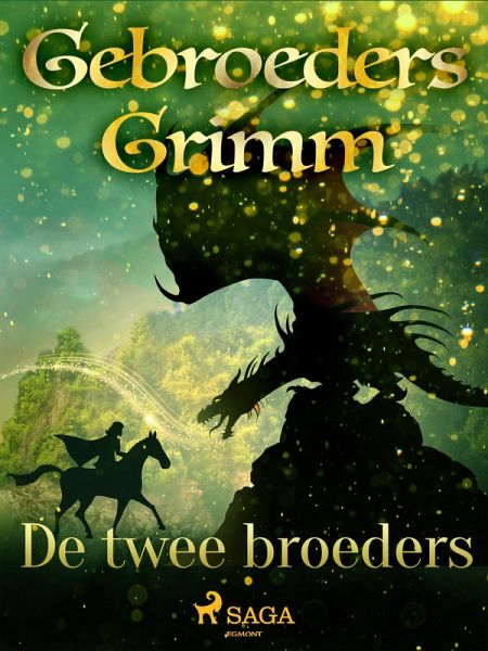 De twee broeders (eBook, ePUB)