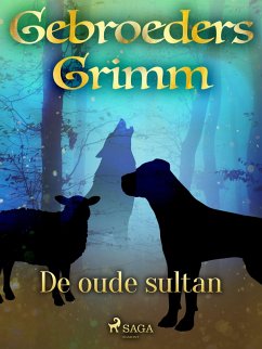 Cover De oude sultan (eBook, ePUB)