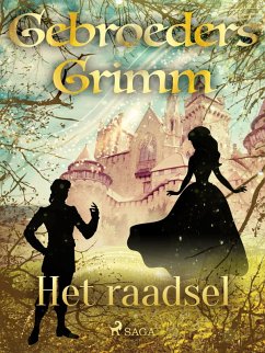 Cover Het raadsel (eBook, ePUB)