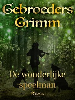 Cover De wonderlijke speelman (eBook, ePUB)