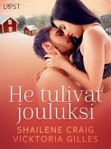 He tulivat jouluksi - Eroottinen joulukertomus (eBook, ePUB)