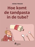 Hoe komt de tandpasta in de tube? (eBook, ePUB)