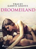 Droomeiland (eBook, ePUB)