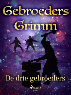 Cover De drie gebroeders (eBook, ePUB)