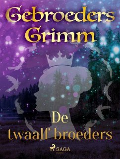 Cover De twaalf broeders (eBook, ePUB)