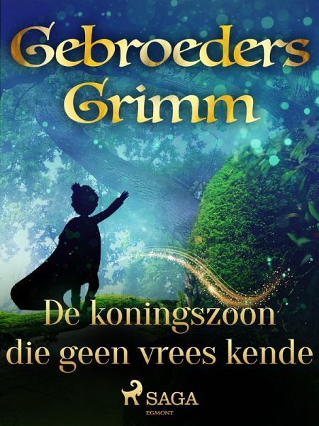 De koningszoon die geen vrees kende (eBook, ePUB)