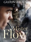 Mister Flow (eBook, ePUB)