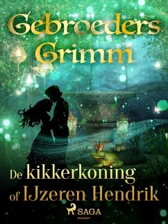 Cover De kikkerkoning of IJzeren Hendrik (eBook, ePUB)