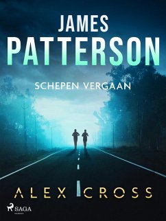 Cover Schepen vergaan (eBook, ePUB)