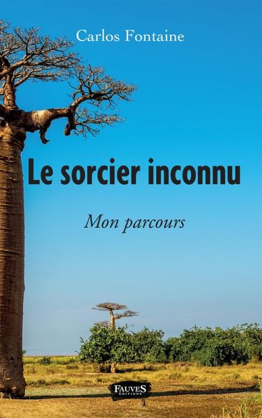 Le Sorcier inconnu (eBook, ePUB)