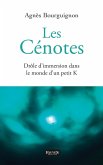 Les Cenotes (eBook, ePUB)