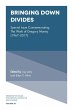 Bringing Down Divides (eBook, ePUB) - Bild 1