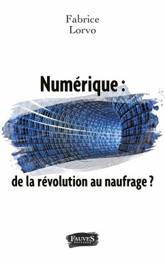Cover Numerique : de la revolution au naufrage ? (eBook, ePUB)