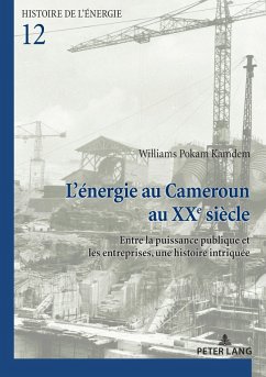 L'énergie au Cameroun au XXe siècle (eBook, ePUB) - Pokam Kamdem, Williams