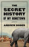 The Secret History of My Hometown (eBook, ePUB)