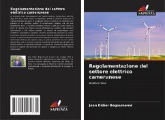 Regolamentazione del settore elettrico camerunese - Begoumenié, Jean Didier