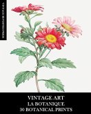 Vintage Art Vintage Art