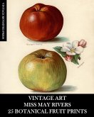 Vintage Art Vintage Art