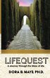 LifeQuest: A Journey Through the Maze... - Bild 1