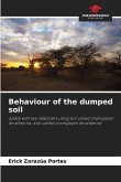 Behaviour of the dumped soil