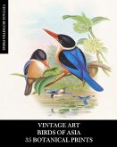 Vintage Art Vintage Art
