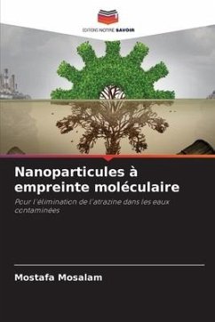 Nanoparticules à empreinte moléculaire - Mosalam, Mostafa