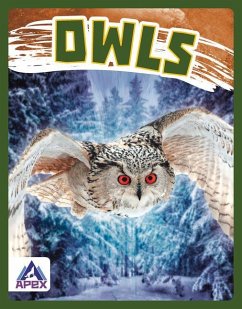 Owls - Golkar, Golriz