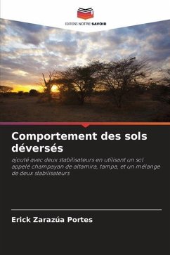 Comportement des sols déversés - Zarazúa Portes, Erick