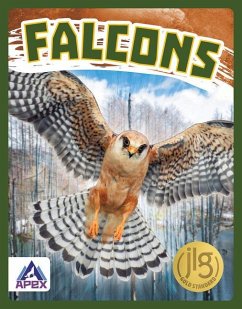 Falcons - Stratton, Connor