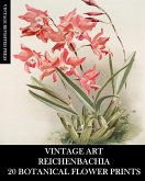 Vintage Art Vintage Art