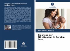 Diagnose der Stillsituation in Burkina Faso - Bengaly, Marcel Daba;Zerbo, Edouard