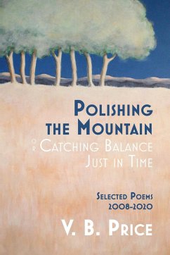 Polishing the Mountain, or Catching Balance Just in Time - Price, V. B.